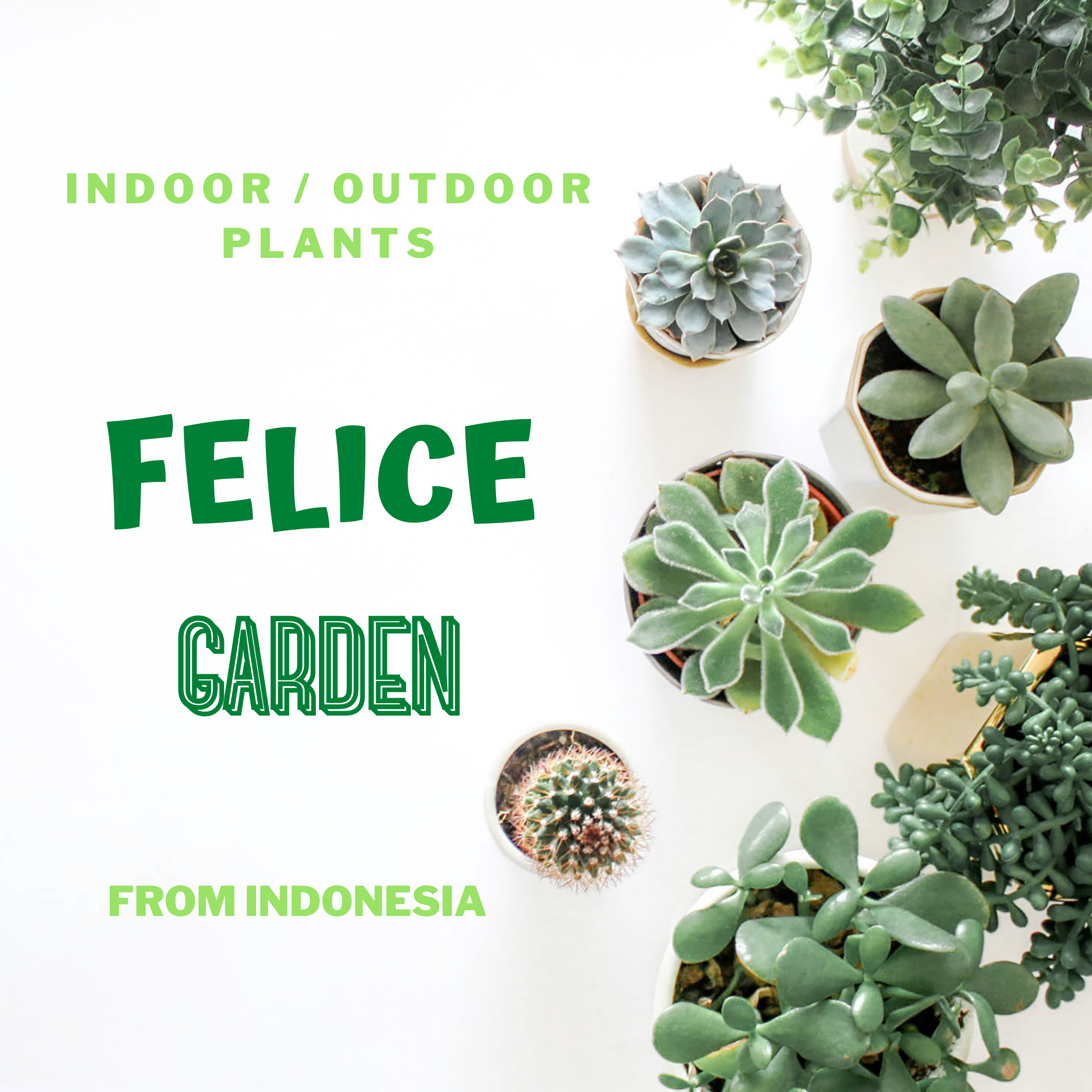 Felice Garden