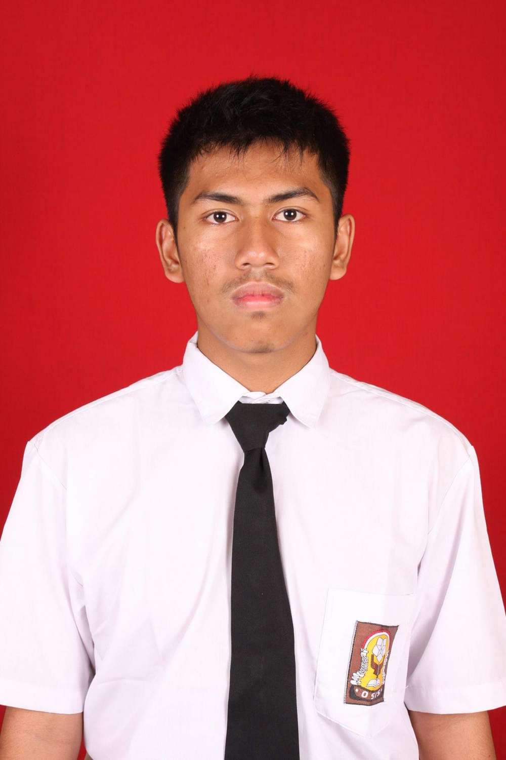 Kriesna Dhian Aliffianto