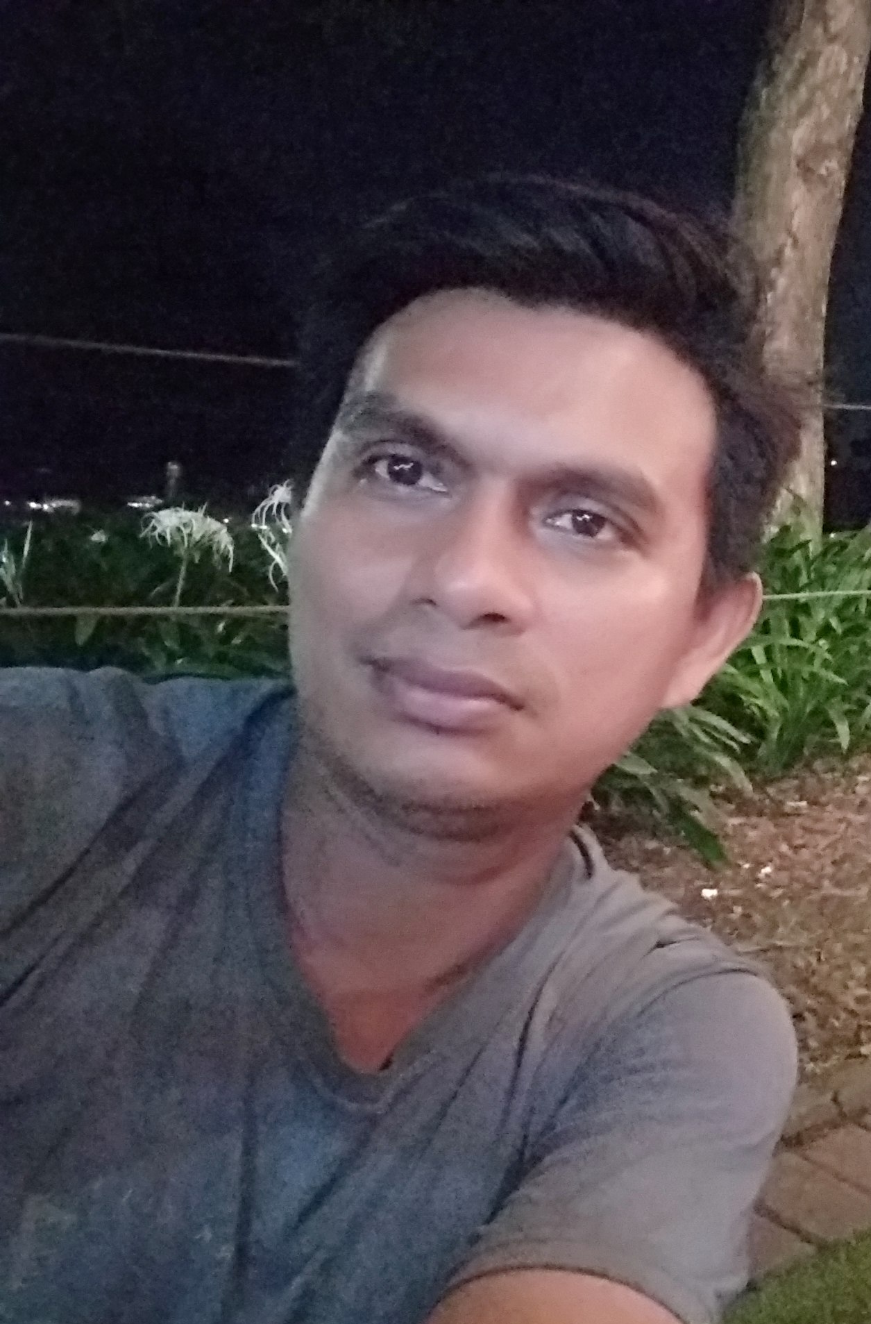 Ardy arif